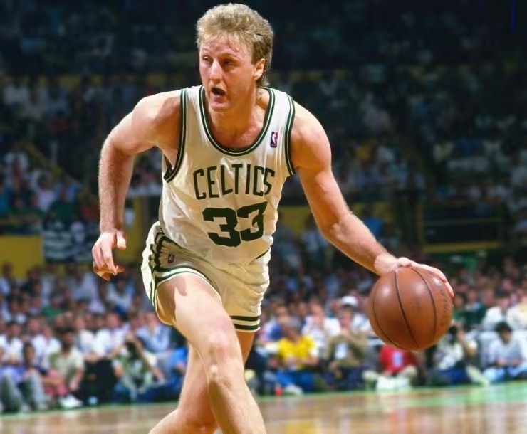 藤的法宝 藤的法宝