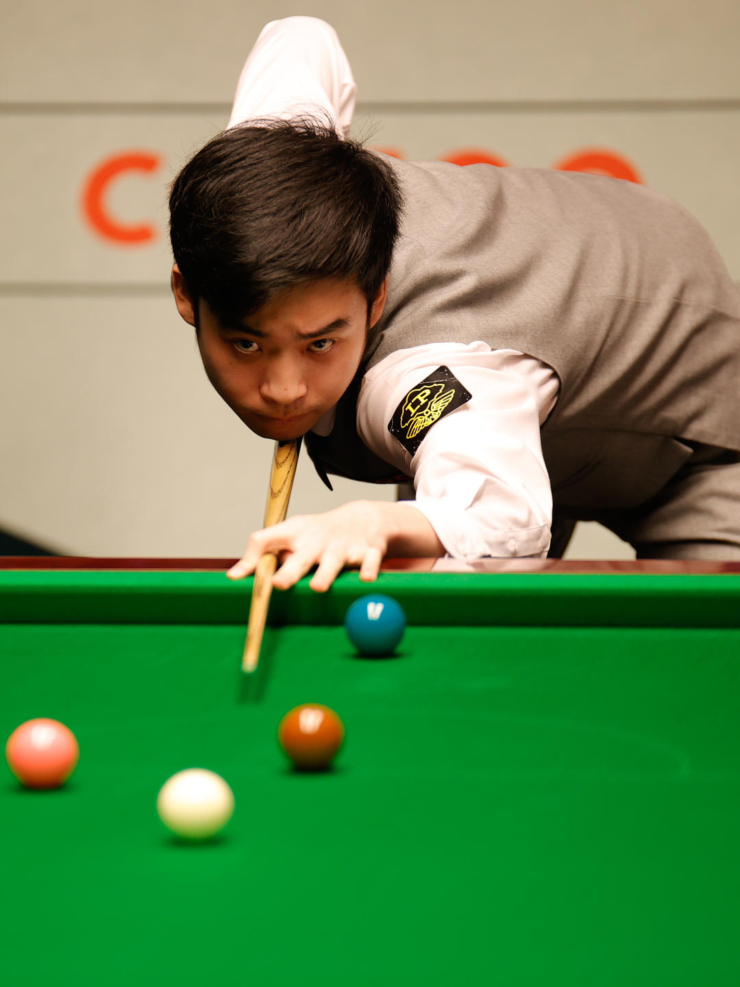 近年来在国 近年来在国