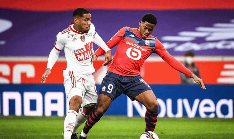 荐和点评是 荐和点评是