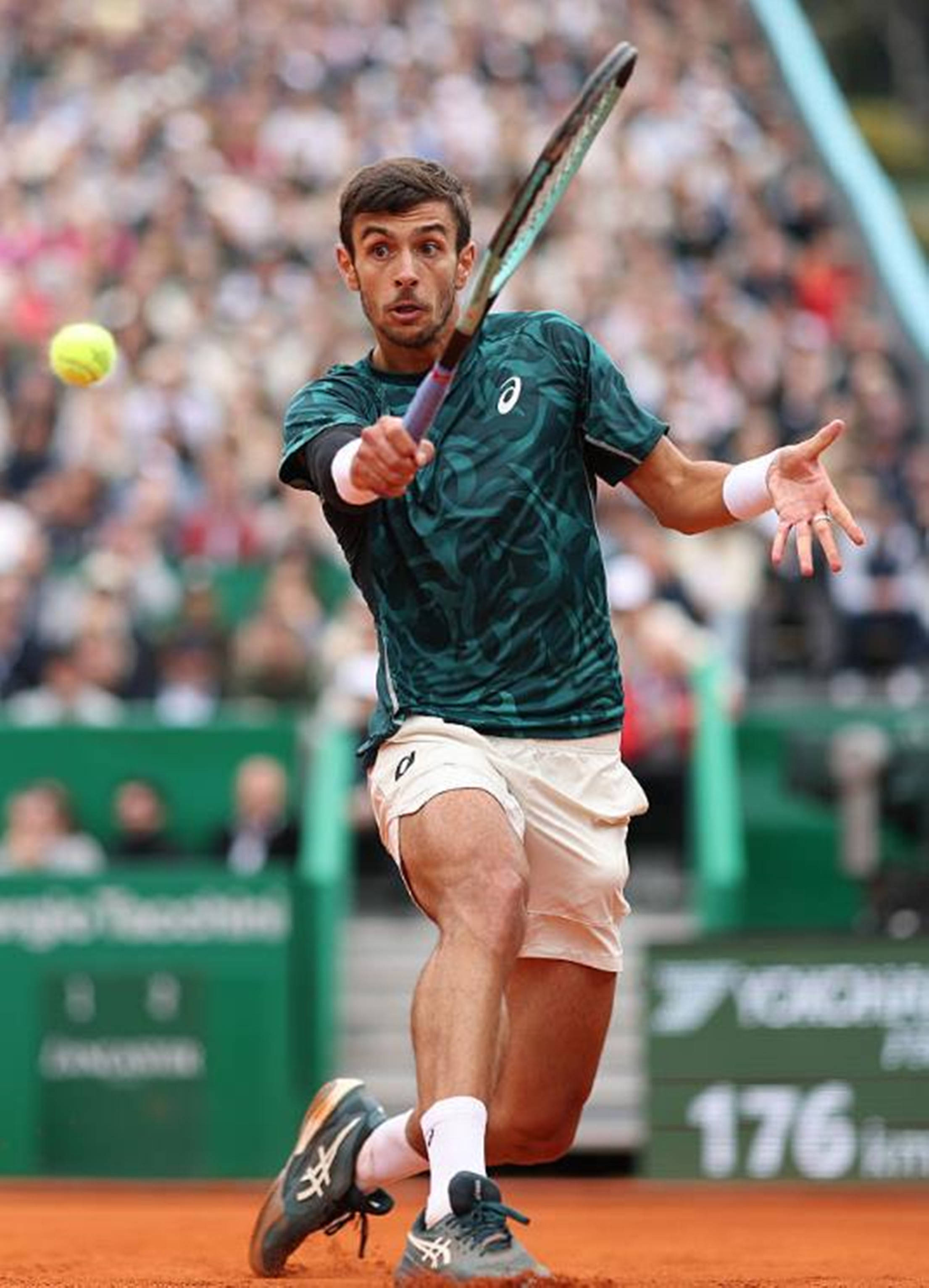 金句合集 金句合集